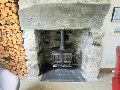 Picture 8